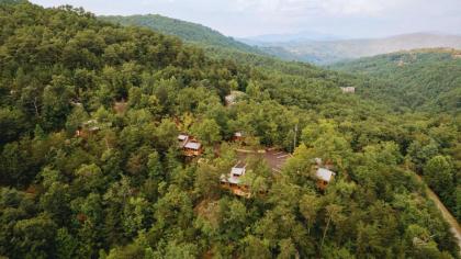 The Moosewood in Treehouse Grove at Norton Creek - image 19