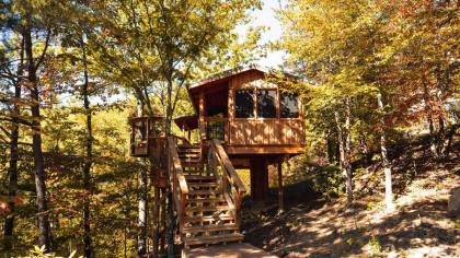 The Cottonwood in Treehouse Grove at Norton Creek