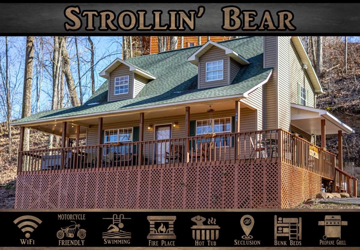 Strollin' Bear - main image