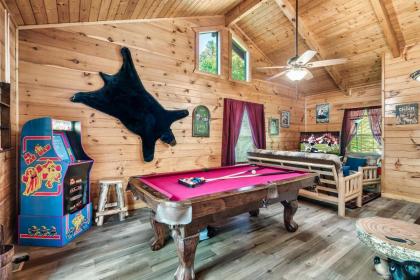 A Top Notch Lodge~Gatlinburg - image 1