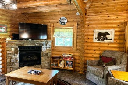 Pine Cone Cabin - image 4