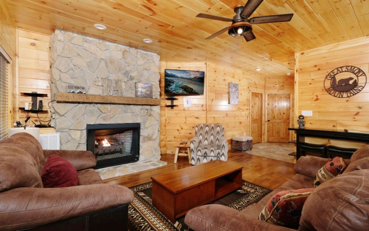 Beartastic Mountain View Lodge - image 4