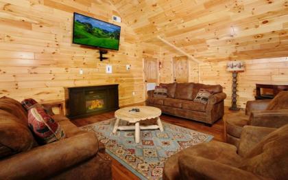 Beartastic Mountain View Lodge - image 6