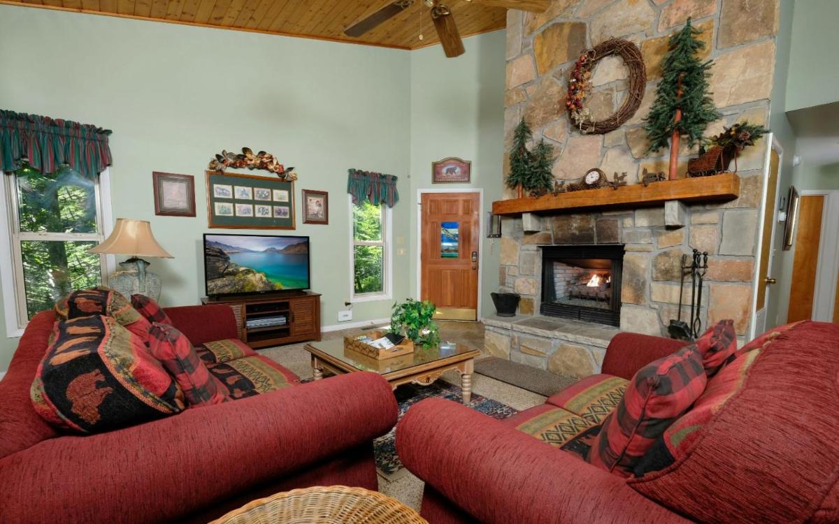 Ski Mountain Hideaway 1154 - image 3