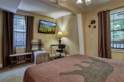 Bearadise - Sleeps 11 with a game room and resort amenities near Ober Gatlinburg - image 12