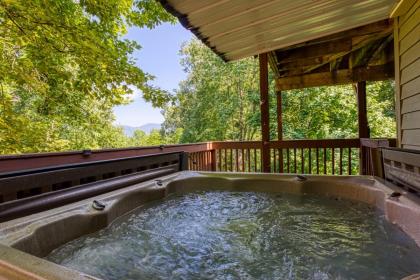 Bearadise - Sleeps 11 with a game room and resort amenities near Ober Gatlinburg - image 2