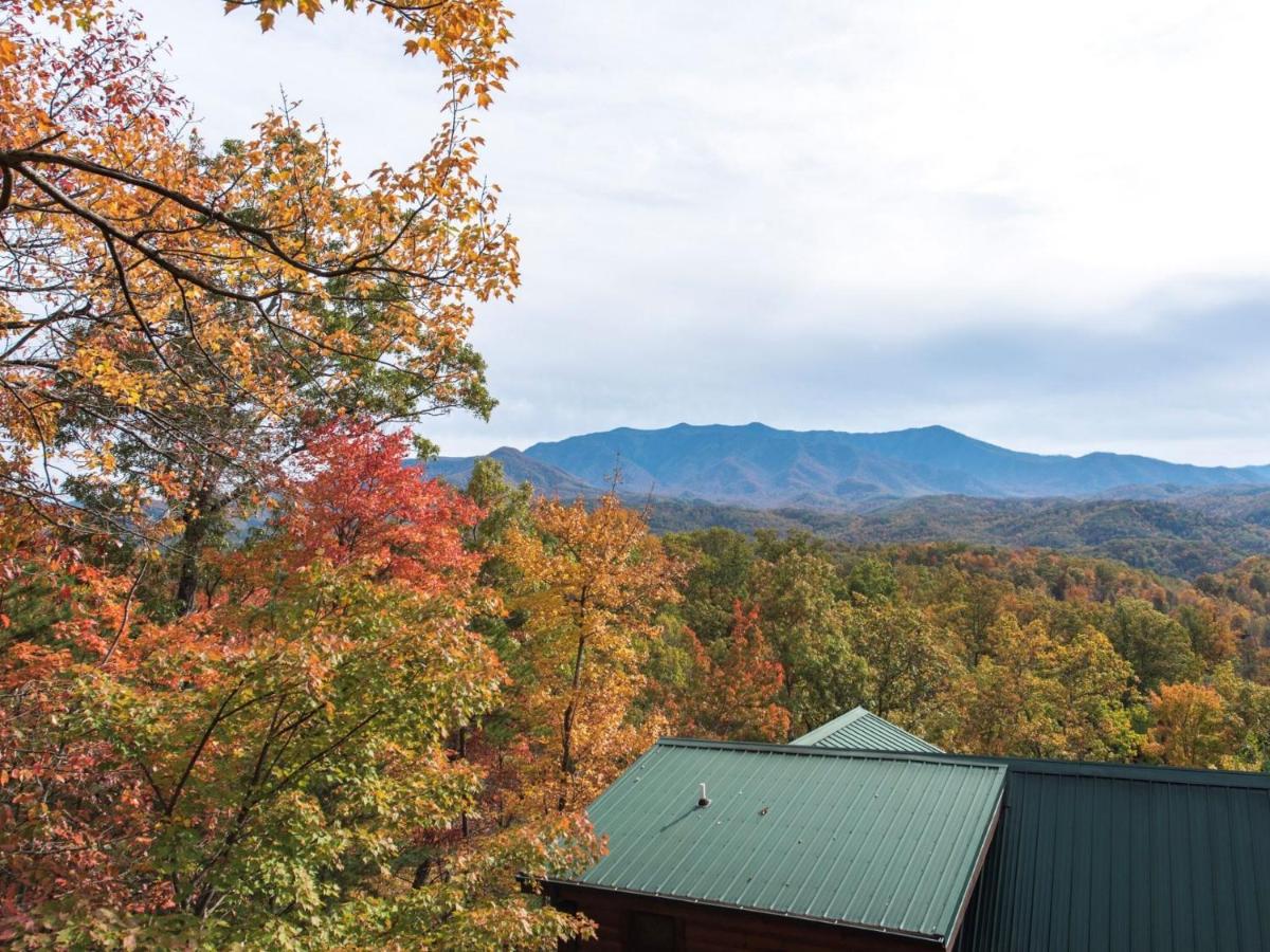 Enchanted View Lodge cabin - image 7