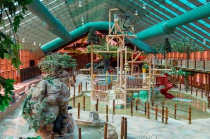 Westgate Smoky Mountain Resort & Water Park - image 14